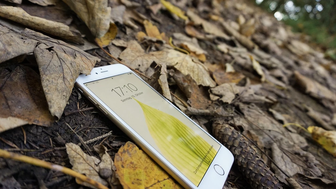 Fix Apple iPhone Error 21